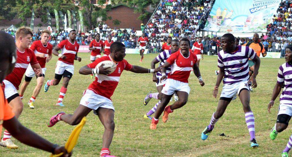 Dairiboard-Rugby-Festival.